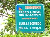 Paseo Lineal del Río Bayamón - BAYAMÓN